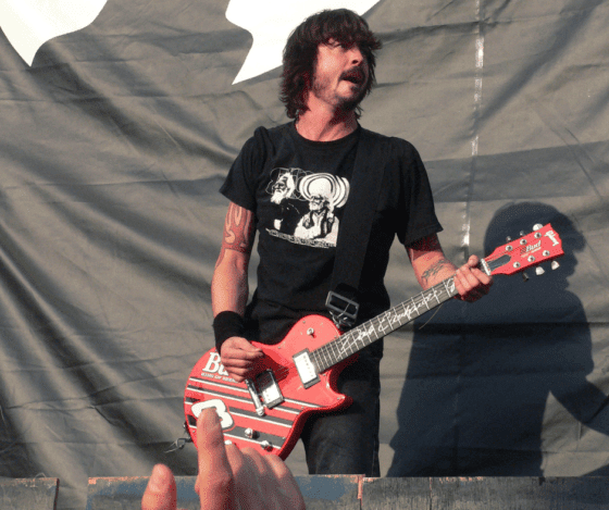 Dave Grohl By Stig Nygaard