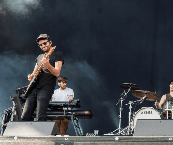 Foals