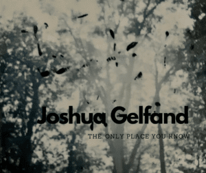 Joshua Gelfand