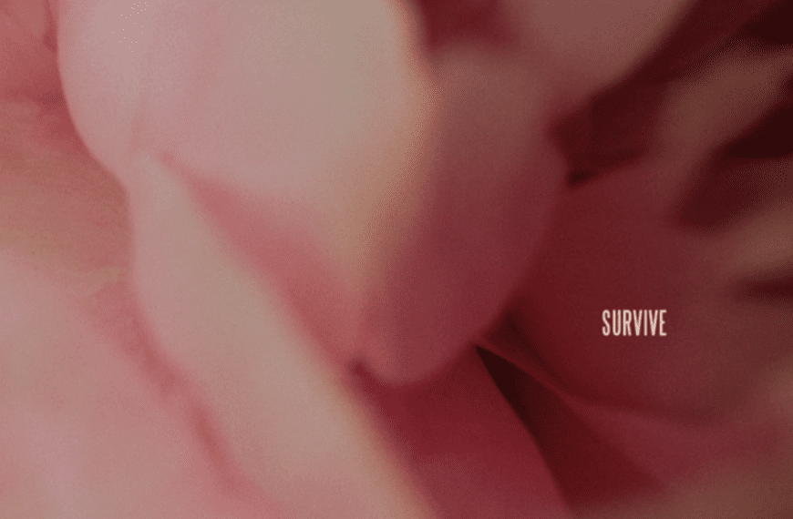 Survive Review