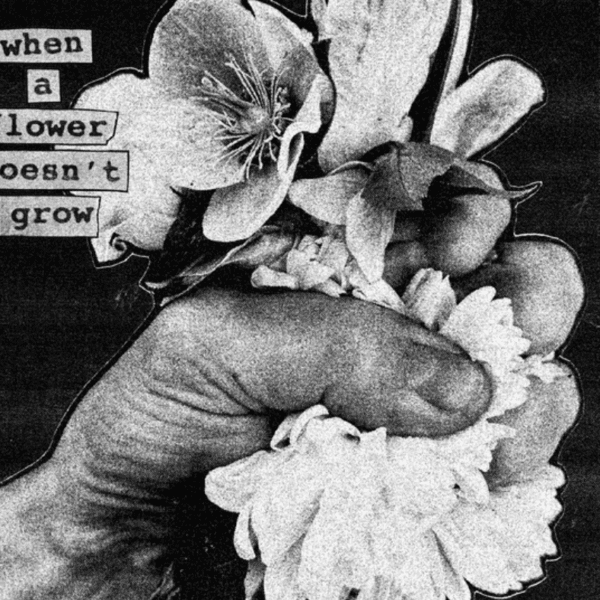 Queen Of Nothing Review