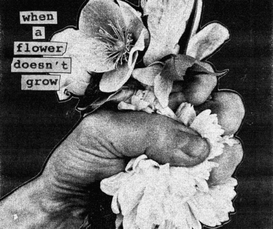 Queen Of Nothing Review