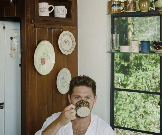 Dinner Party Review - Niall Horan – Album Review