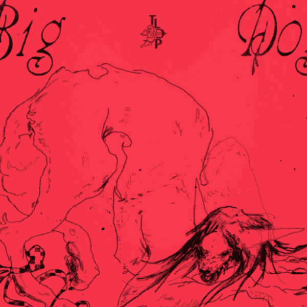 Big Dog Review